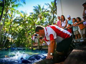 Daydream Island QLD Attractions
