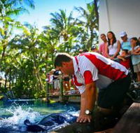 The Living Reef on Daydream Island - Attractions