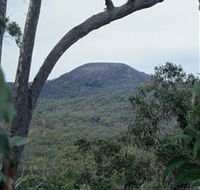 Mount Fox - Attractions