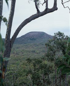 Mount Fox - Attractions 0