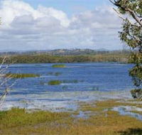 Lake Barfield - Attractions