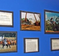 Town Hall Photographic Display - Attractions