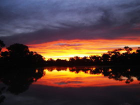 Thomson River - Attractions 0