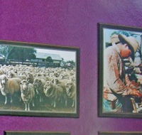 Charleville Photographic Display - Attractions