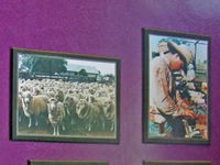 Charleville Photographic Display