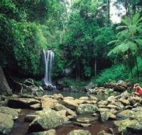 Tamborine National Park - Attractions