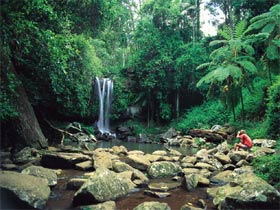 Tamborine National Park - Attractions 0