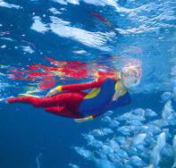Outer Rocks Dive Site - Attractions