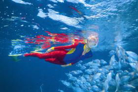 Outer Rocks Dive Site - Attractions 0