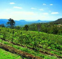 Preston Peak Wines - Attractions
