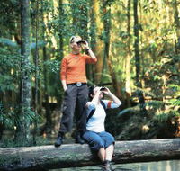 Birdwatching on the Fraser Coast - Attractions