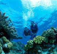 Coral Gardens Dive Site - Attractions