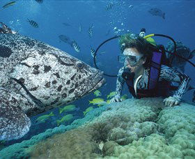 Pelorus Island Townsville