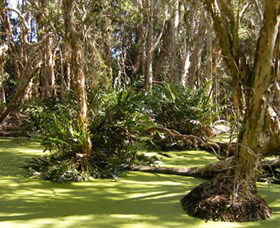 Arkarra Lagoons And Tea Gardens - Attractions 0