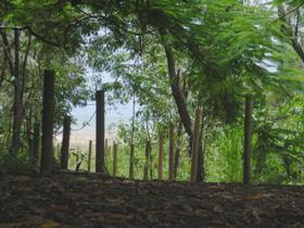 Toomulla Beach - Attractions 0