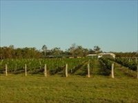 Kingsley Grove Estate