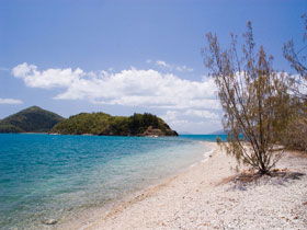 Shute Harbour QLD Attractions