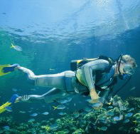 Manta Ray Bommie Dive Site - Attractions