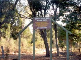 Carroll Nature Reserve Kokoda Track - Attractions 0