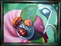 Kingaroy Shire Art Gallery