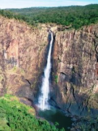 Buujan Quiinbiira Walk Wet Tropics Great Walk