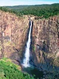 Gugigugi Butterfly Walk Wet Tropics Great Walk