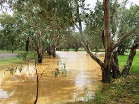 Saddliers Waterhole And Hamburg Creek - Attractions 0