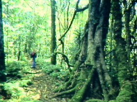Aratula QLD Attractions