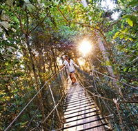 Tree Top Walkway - Attractions
