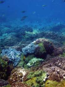 Bargara QLD Attractions
