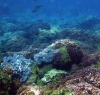 Hoffman's Rocks Dive Site - Attractions
