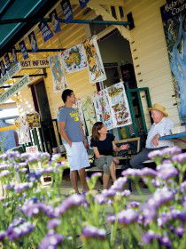 Alpha Petrified Wood - Attractions 0