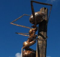 Augathella Meat Ant Park and Sculpture - Attractions
