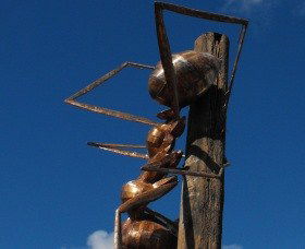 Augathella Meat Ant Park And Sculpture - Attractions 0
