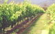 Girraween Estate - thumb 0