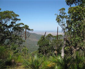 Zamia Walk - Attractions 0