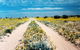 Birdsville Track - thumb 0