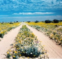 Birdsville Track - Attractions