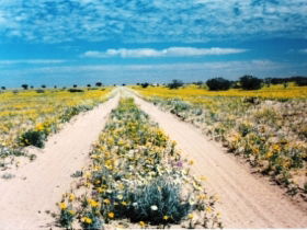 Birdsville Track - Attractions 0