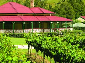 OReillys Canungra Valley Vineyards - Attractions 0