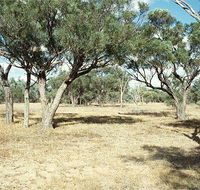 Forest Den National Park - Attractions