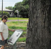 Augathella Kenniff Tree - Attractions