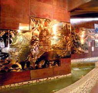 Riversleigh Fossil Centre - Attractions