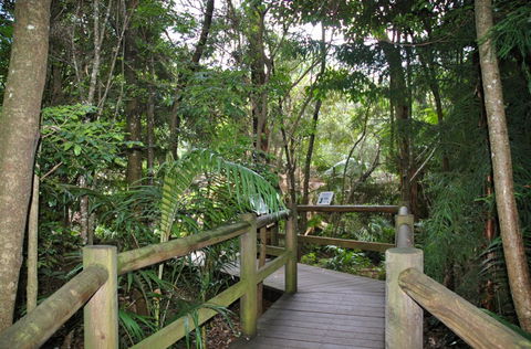 Cedar Creek Estate - Attractions 1