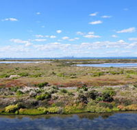 Point Cook Coastal Park - Attractions