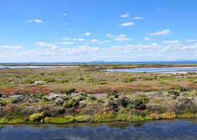 Point Cook Coastal Park - Attractions 0