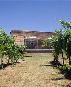 Shantell Vineyard - Attractions 0