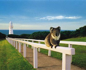 Cape Otway VIC Attractions
