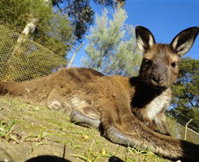 Addington VIC Attractions