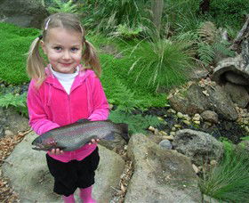 Rhyll VIC Attractions